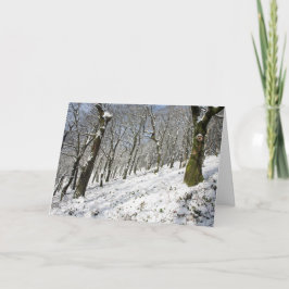 De macclesfield Forest winter Kaart