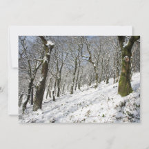 De Macclesfield Forest winterkaart