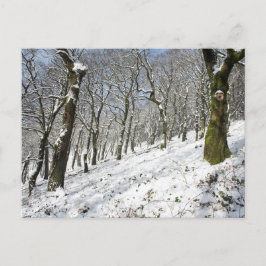 De Macclesfield Forest winterkaart Briefkaart