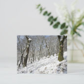 De Macclesfield Forest winterkaart Briefkaart (Staand voorkant)