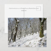 De Macclesfield Forest winterkaart Briefkaart (Voorkant / Achterkant)