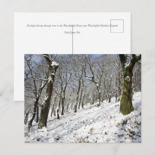 De Macclesfield Forest winterkaart Briefkaart (Voorkant / Achterkant)