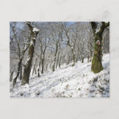 De Macclesfield Forest winterkaart Briefkaart (Voorkant)