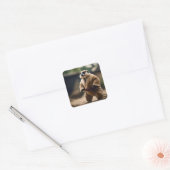 De machtige Meerkat: Sumo Showdown, Vierkante Sticker (Envelop)