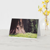 De machtige Sequoia Kaart (Gele Bloem)