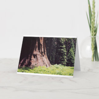 De machtige Sequoia Kaart