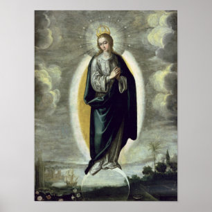 De maculaire conceptie poster
