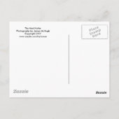 De Mad Hatter Briefkaart (Achterkant)