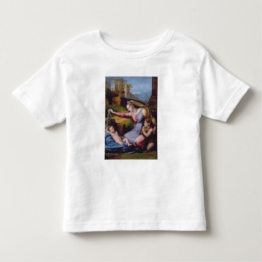 De Madonna van het Blauwe Diadem of de Madonna van Kinder Shirts (Voorkant)