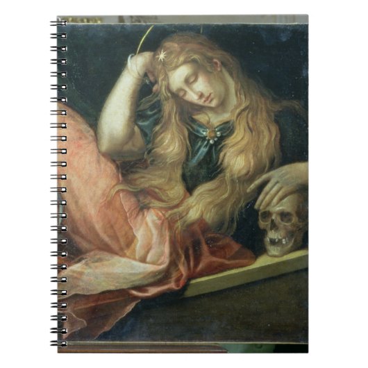 De Magdalene (olie op het canvas) Notitieboek (Voorkant)