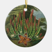 De Maggot-Bearing Stapelia, gegraveerd door Stadle Keramisch Ornament (Voorkant)