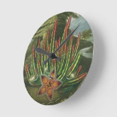 De Maggot-Bearing Stapelia, gegraveerd door Stadle Ronde Klok (Hoek)