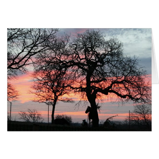 De Magic Sky (Voorkant Horizontaal)