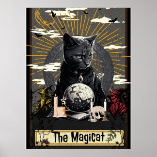 De MagiCat Poster