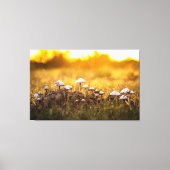 De magie van paddenstoelen canvas afdruk (Voorkant)