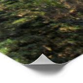 De Magische Bosrust Poster (Hoek)