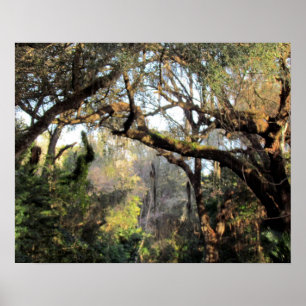 De Magische Bosrust Poster