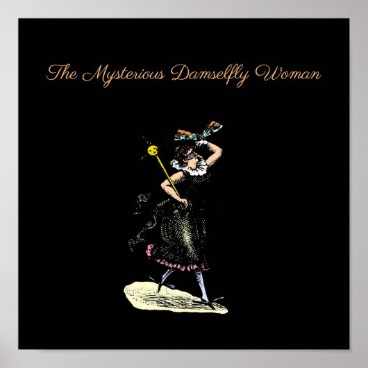 De magische damselfvrouw poster (Voorkant)