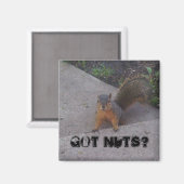 De Magneet van de eekhoorn (Voorkant / Achterkant)