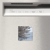 De Magneet van de Koelkast van de Bloesem van de b (Insitu (Vaatwasser))