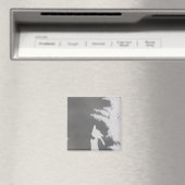 De Magneet van de Koelkast van het Silhouet van de (Insitu (Vaatwasser))