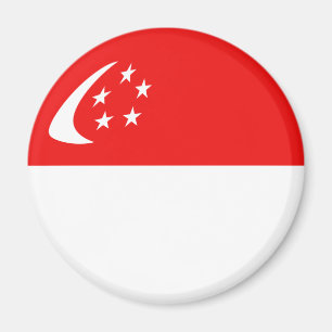 De Magneet van de Vlag van Singapore Fisheye