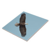 De Majestic Bald Eagle Tegeltje (Zijkant)