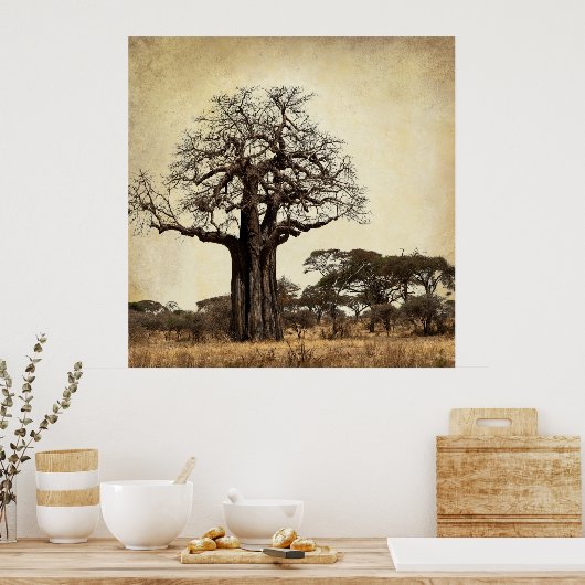 DE MAJESTISCHE BAOBAB TREE VAN AFRIKA POSTER (Keuken)