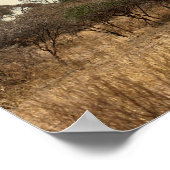 DE MAJESTISCHE BAOBAB TREE VAN AFRIKA POSTER (Hoek)