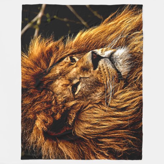DE MAJESTISCHE LION FLEECE DEKEN (Voorkant)
