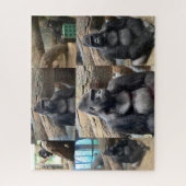 DE MAJESTISCHE MOUNTAIN GORILLA LEGPUZZEL (Verticaal)
