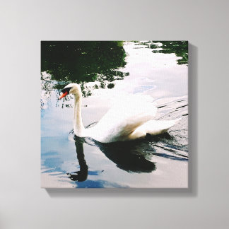 DE MAJESTISCHE SWAN CANVAS AFDRUK