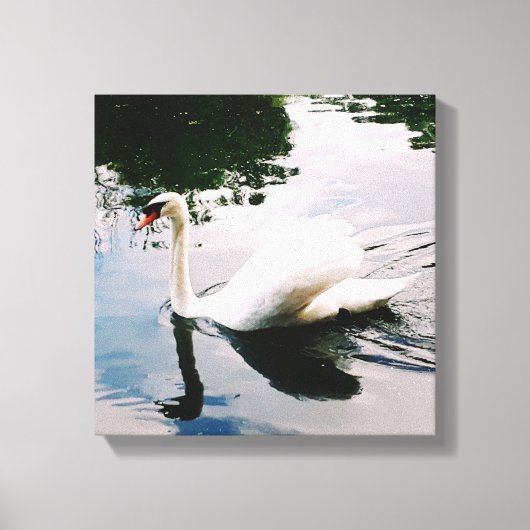 DE MAJESTISCHE SWAN CANVAS AFDRUK (Voorkant)