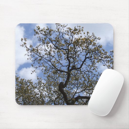 De majoor eikel muismat (Met muis)