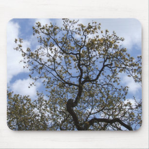 De majoor eikel muismat