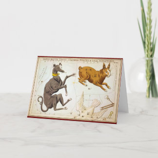 De Majoor van Canis, Beeldhouwer Lepus, Columba Kaart