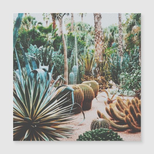 De Majorelle Tuin - Marrakech - Marokko (Voorkant)