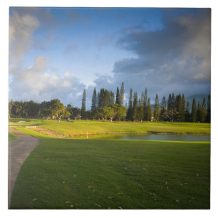 De Makai-golfbaan in Princeville Tegeltje
