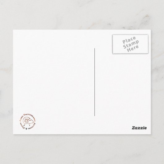 De makreelbrug briefkaart (Achterkant)