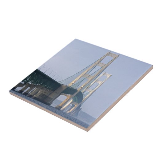 De makreelbrug tegeltje (Zijkant)