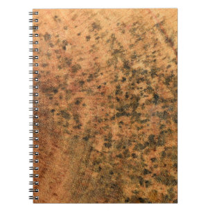 De mal die op het bruine houten oppervlak groeit,  notitieboek