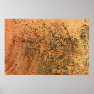 De mal die op het bruine houten oppervlak groeit,  poster