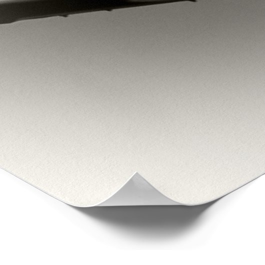 De Malibu Poster (Hoek)