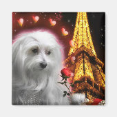 De Maltese Dog Eiffel Tower, de kraak van de HOUT! Magneet (Voorkant)