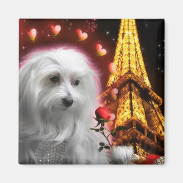 De Maltese Dog Eiffel Tower, de kraak van de HOUT! Magneet
