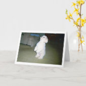 De Maltese Gelukkige Kaart van Vaderdag (Gele Bloem)