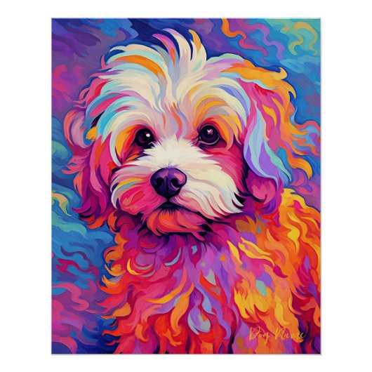 De Maltese Hond 001 - Zetton Ziana Perfect Poster (Voorkant)