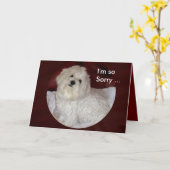 De Maltese Kaart van de Sympathie op Bourgondië en (Gele Bloem)