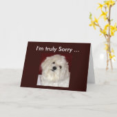 De Maltese Kaart van de Sympathie voor Om het even (Gele Bloem)