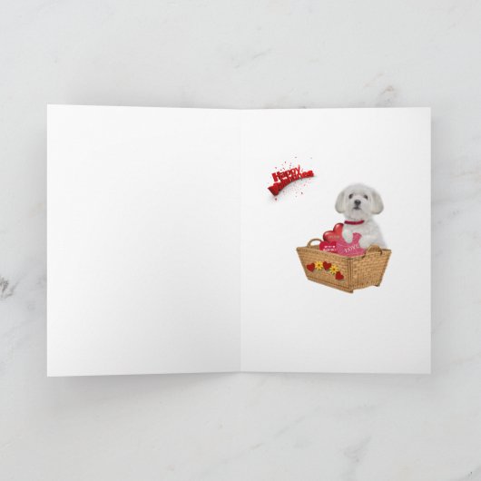 De Maltese Kaarten van XOXO Valentijn (Binnen)